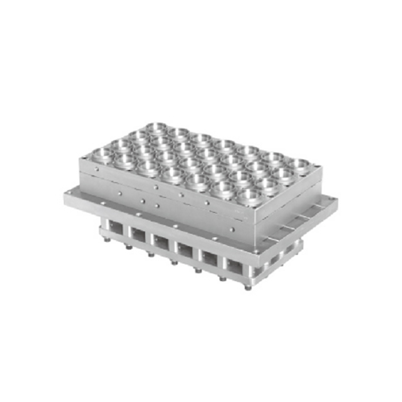 Termoform plastik kaplar/tabaklar/kaplar/kutular/kapaklar kalıp